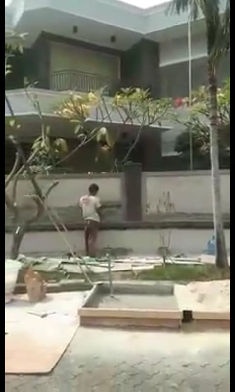 jpg